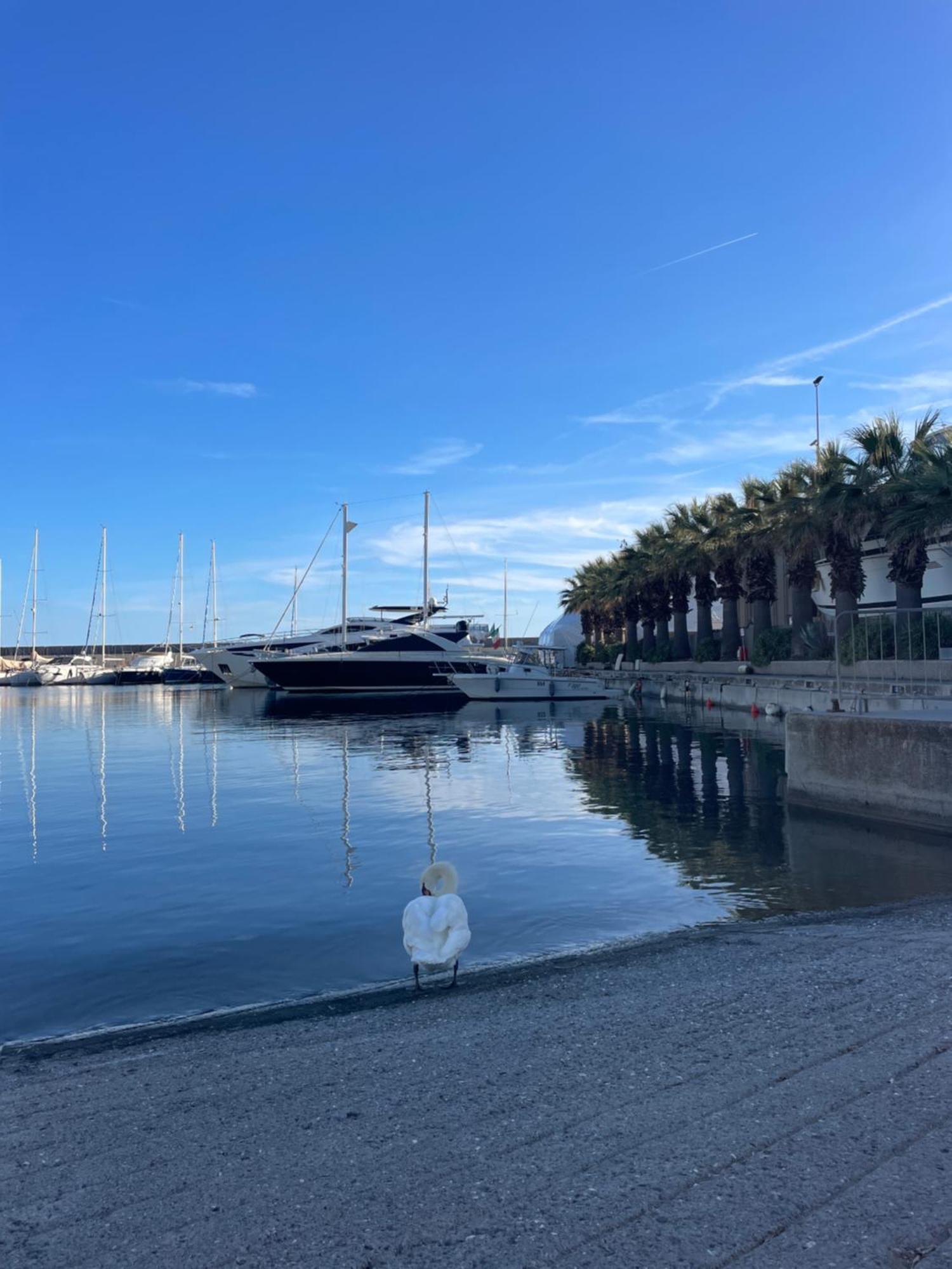 Ferienwohnung Bistrot Del Mare Santo Stefano al Mare Exterior foto